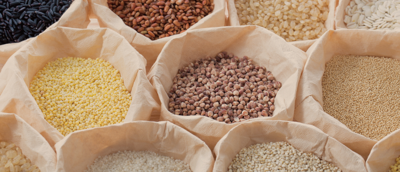 豆や麦などの穀物の写真